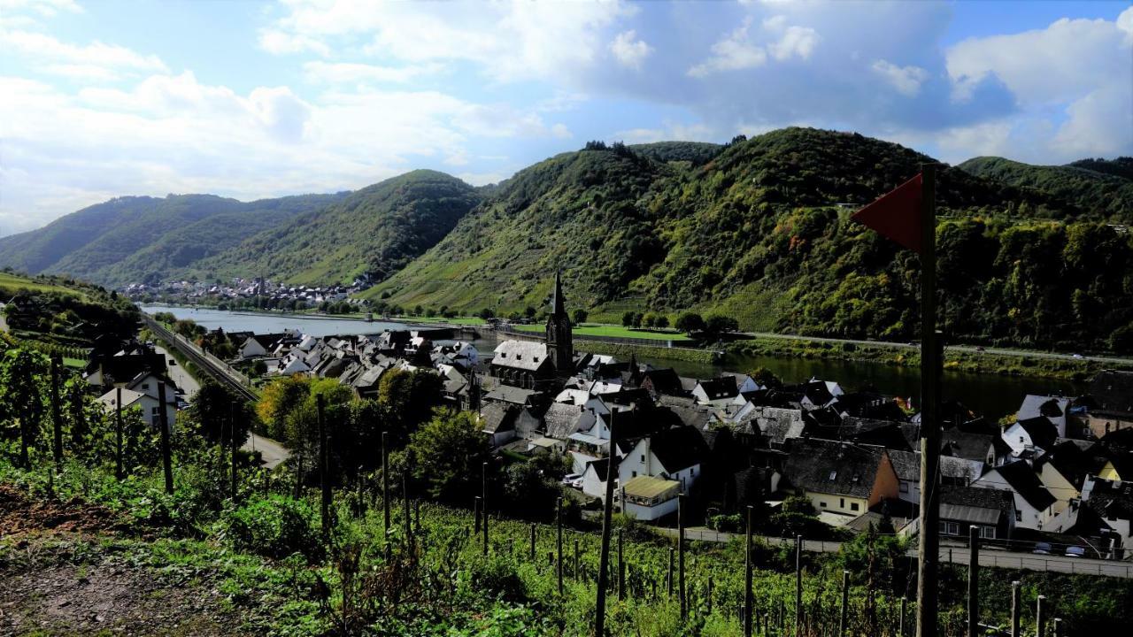 Ferienhaus Erich Bremm Mit Moselblick Neef Екстериор снимка